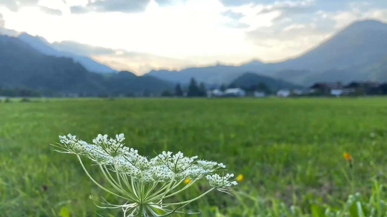 Apartment Ferienwohnung Kranzhornblick - Alpenmagie Suites Oberaudorf