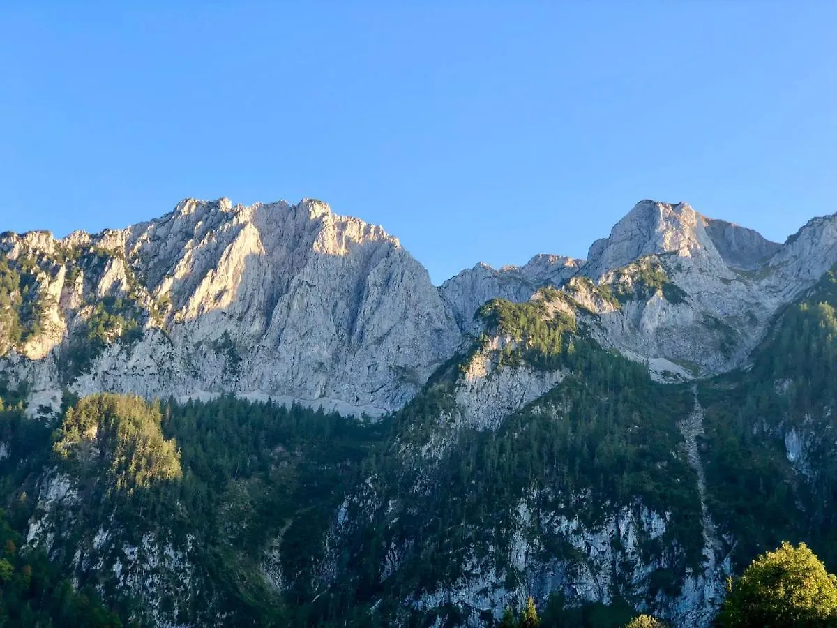 Apartment Ferienwohnung Kranzhornblick - Alpenmagie Suites Oberaudorf