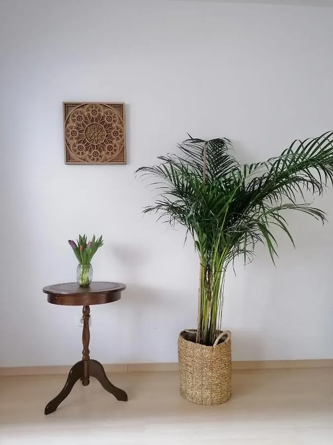 Ferienwohnung Kranzhornblick - Alpenmagie Suites Oberaudorf 0*,
