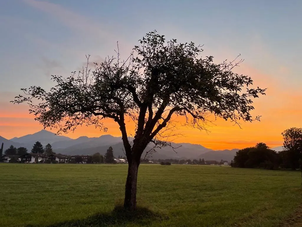 Ferienwohnung Kranzhornblick - Alpenmagie Suites Oberaudorf Apartment